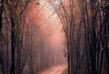 爱游戏体育- 足球临场升盘说明什么 